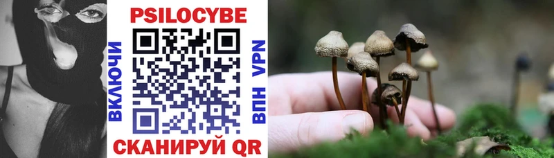 Псилоцибиновые грибы прущие грибы  наркотики  Владивосток 